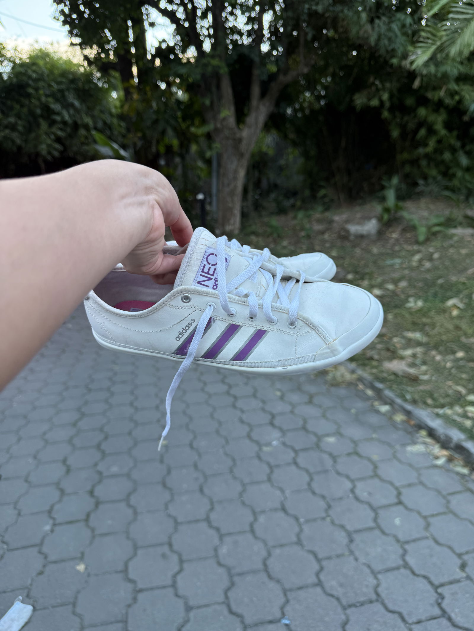 Adidas neo blancos