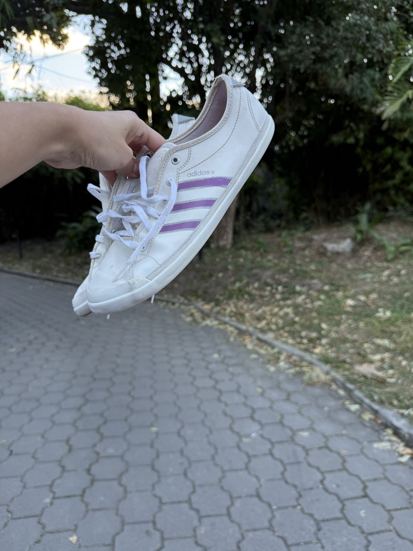 Adidas neo blancos
